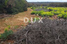 MALI LOŠINJ, PUNTA KRIŽA - poljoprivredno zemljište, Mali Lošinj, Terreno