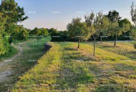 Građevinsko zemljište Marčana Filipana, građevinski teren., Marčana, Terrain