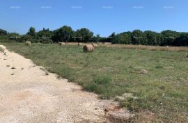 Poljoprivredno zemljište Prodaja poljoprivrednog zemljišta, Ližnjan,  2000 m², Ližnjan, Terrain