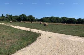 Poljoprivredno zemljište Prodaja poljoprivrednog zemljišta, Ližnjan,  2000 m², Ližnjan, Terrain