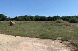 Poljoprivredno zemljište Prodaja poljoprivrednog zemljišta, Ližnjan,  2000 m², Ližnjan, Terrain