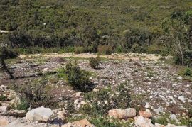 Poljoprivredno zemljište Prodaja poljoprivrednog zemljišta, Marčana, Marčana, Terra