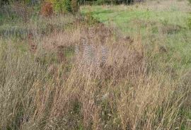 Kamena kuća u nizu sa građevinskim zemljištem, Valbandon, Istra, Fažana, Haus