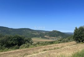 Istra, Motovun građevinsko zemljšte za 4 vile, Motovun, Terreno