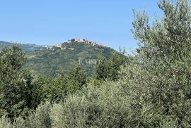 Istra, Motovun građevinsko zemljšte za 4 vile, Motovun, Terreno