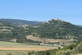 Istra, Motovun građevinsko zemljšte za 4 vile, Motovun, Terreno