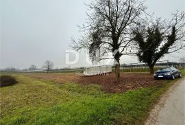 ZAGREB, SAMOBOR, OREŠJE - građevinsko zemljšte 3800 m2 za stambenu zgradu - stanove/ obiteljsku kuću, Sveta Nedelja, Tierra