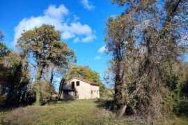 ISTRA - KUĆA S VELIKIM TERENOM, Višnjan, Casa