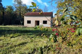 ISTRA - KUĆA S VELIKIM TERENOM, Višnjan, Casa