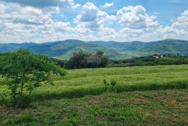 Istra, okolica Motovuna, Vrh, građevinsko zemljište, Motovun, Land