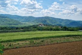 Istra, okolica Motovuna, Vrh, građevinsko zemljište, Motovun, Land