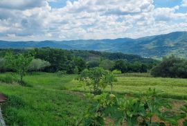 Istra, okolica Motovuna, Vrh, građevinsko zemljište, Motovun, Land