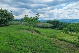 Istra, okolica Motovuna, Vrh, građevinsko zemljište, Motovun, Land