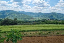 Istra, okolica Motovuna, Vrh, građevinsko zemljište, Motovun, Land