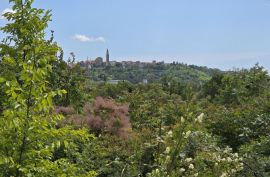 ISTRA, BUJE - TOP ponuda! Građevinsko zemljište s dozvolom za 5 vila s bazenom, prekrasan pogled na more, prilika!, Buje, Tierra