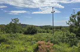 ISTRA, BUJE - TOP ponuda! Građevinsko zemljište s dozvolom za 5 vila s bazenom, prekrasan pogled na more, prilika!, Buje, Tierra