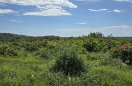 ISTRA, BUJE - TOP ponuda! Građevinsko zemljište s dozvolom za 5 vila s bazenom, prekrasan pogled na more, prilika!, Buje, Tierra