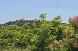 ISTRA, BUJE - TOP ponuda! Građevinsko zemljište s dozvolom za 5 vila s bazenom, prekrasan pogled na more, prilika!, Buje, Tierra