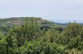 ISTRA, BUJE - Građevinsko zemljište s dozvolom za dvije vile s bazenom, prekrasan pogled na more, Buje, Tierra