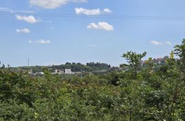 ISTRA, BUJE - Građevinsko zemljište s dozvolom za dvije vile s bazenom, prekrasan pogled na more, Buje, Tierra