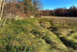 Istra,Bijažići-Građevinsko zemljište za gradnju obiteljske kuće, Svetvinčenat, Terrain