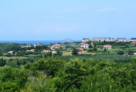 Savudrija,Crveni Vrh-Građevinsko zemljište pored golf terena, Umag, Terreno