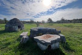 Istra, Vodnjan -okolica, maslinik na zemljištu od 14.000m2, Vodnjan, Γη