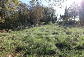 BADERNA, okolica- građevinsko i poljoprivredno zemljište, Poreč, Land