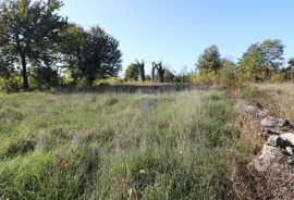 BADERNA, okolica- građevinsko i poljoprivredno zemljište, Poreč, Land