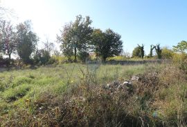 BADERNA, okolica- građevinsko i poljoprivredno zemljište, Poreč, Land