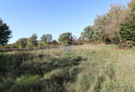 BADERNA, okolica- građevinsko i poljoprivredno zemljište, Poreč, Land