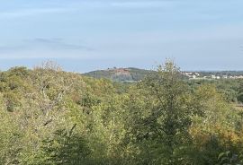 Vrsar - okolica, građevinsko zemljište s otvorenim pogledom, Vrsar, Γη