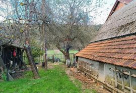 Plaški , Jezero - Kuća na osami s velikom okućnicom!, Plaški, Дом