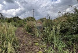 Istra, Žminj, okolica - građevinsko zemljište u manjem naselju, Žminj, Tierra