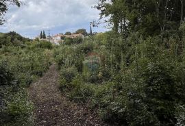 Istra, Žminj, okolica - građevinsko zemljište u manjem naselju, Žminj, Tierra