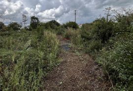 Istra, Žminj, okolica - građevinsko zemljište u manjem naselju, Žminj, Tierra