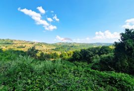 Istra,Momjan-Građevinsko zemljište s ruševinom, Buje, Tierra