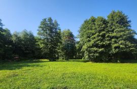 Gorski kotar, Brod na Kupi - autohtona kuća sa vlastitim pristupom na rijeku Kupu, Delnice, House