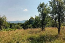 Gorski kotar, Plemenitaš - veliko zemljište, 7484 m2, Vrbovsko, Land