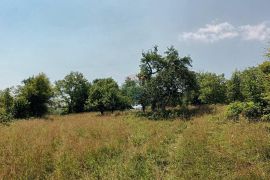 Gorski kotar, Plemenitaš - veliko zemljište, 7484 m2, Vrbovsko, Land