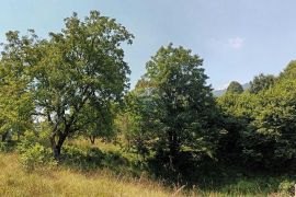 Gorski kotar, Plemenitaš - veliko zemljište, 7484 m2, Vrbovsko, Land