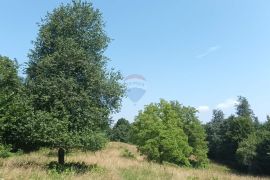 Gorski kotar, Plemenitaš - veliko zemljište, 7484 m2, Vrbovsko, Land