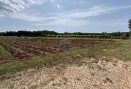 Umag, okolica - Samostojeća kuća na velikoj okućnici od 4 hektara, Umag, Casa