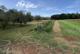 Umag, okolica - Samostojeća kuća na velikoj okućnici od 4 hektara, Umag, Casa