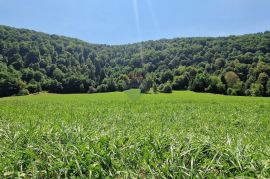 Gorski kotar - Blaževci - kuća blizu kupe, Vrbovsko, Haus