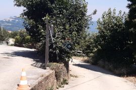 Istra, Motovun prekrasna autohtona samostojeća kuća, Motovun, Maison