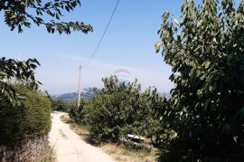 Istra, Motovun prekrasna autohtona samostojeća kuća, Motovun, Maison