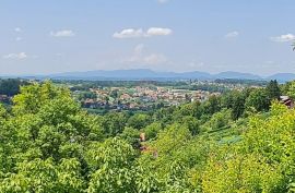 Stubičke Toplice, Kapelščak, kuća prizemnica + okućnica od 2600m2, Stubičke Toplice, Haus