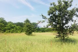 Poreč, Baderna, lijepo poljoprivredno zemljište, Poreč, Γη