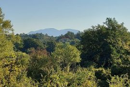 GRAČIŠĆE, okolica - stara kamena kuća sa 6880 m2 dvorišta, Gračišće, Famiglia